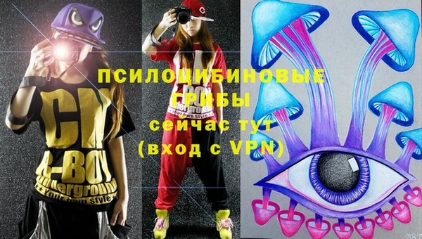 mdpv Заводоуковск